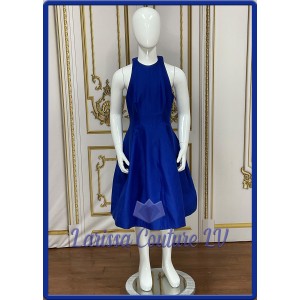 Elea Blue Tank Dress