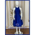 Elea Blue Tank Dress